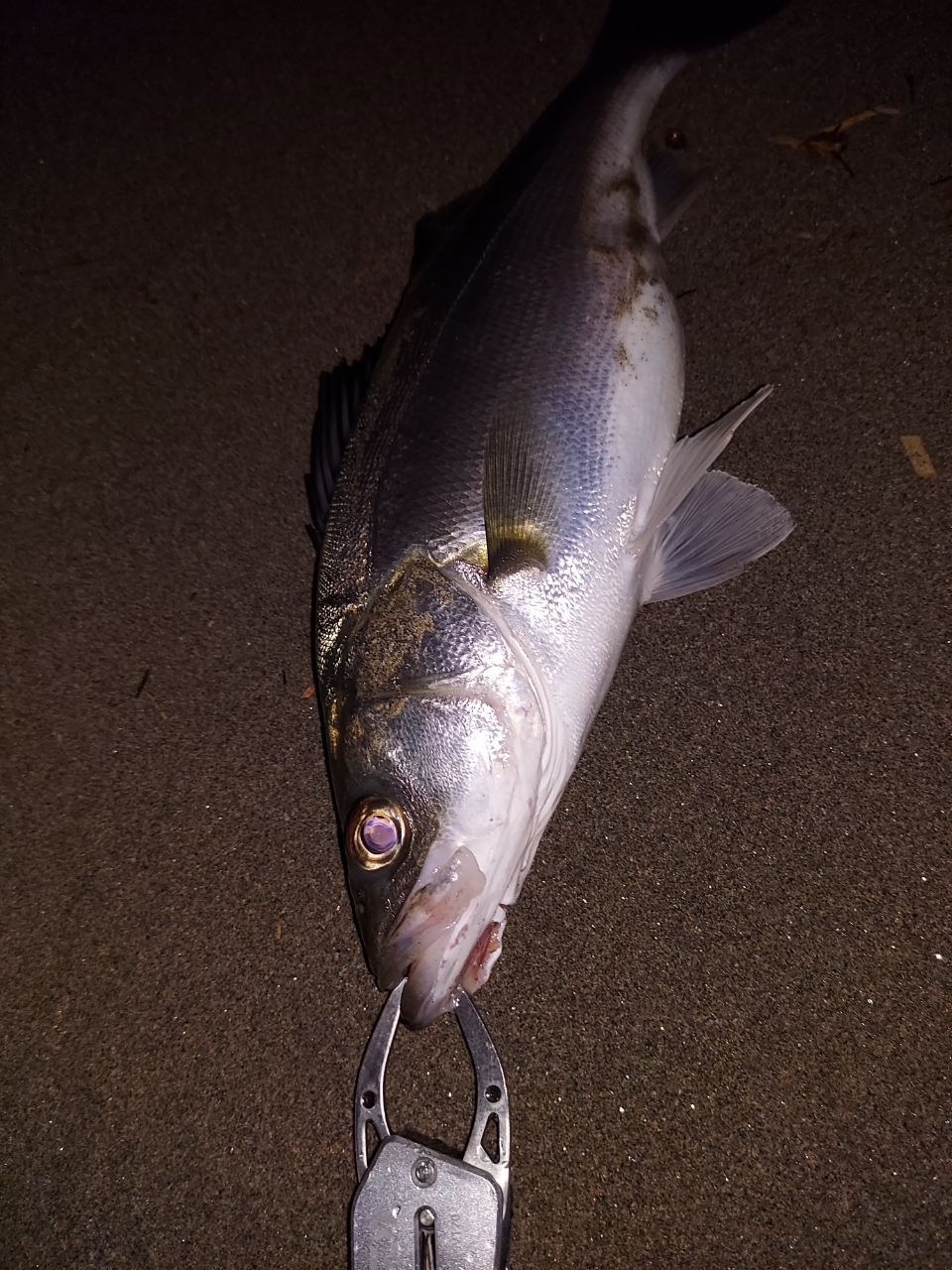 DAIWA 23エメラルダス ストイスト ST（アウトガイドモデル