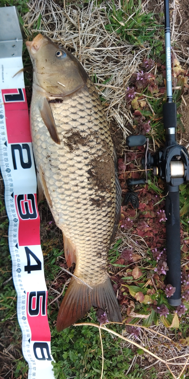 AbuGarcia クロスフィールド XRFC-732Hの最安値・インプレ・釣果