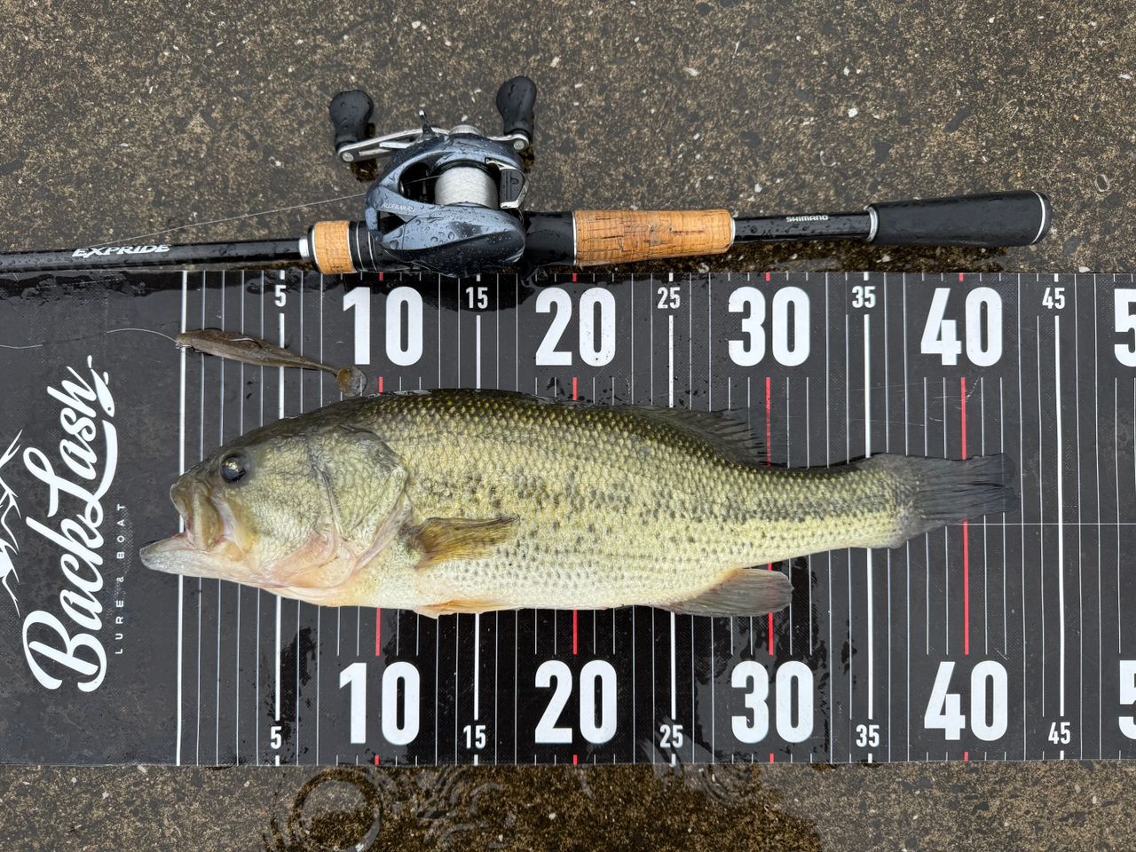 SHIMANO 17エクスプライド 166ML-2の最安値・インプレ・釣果