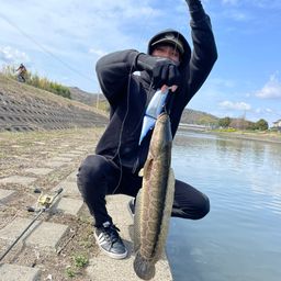 ライギョ