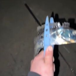 タチウオ