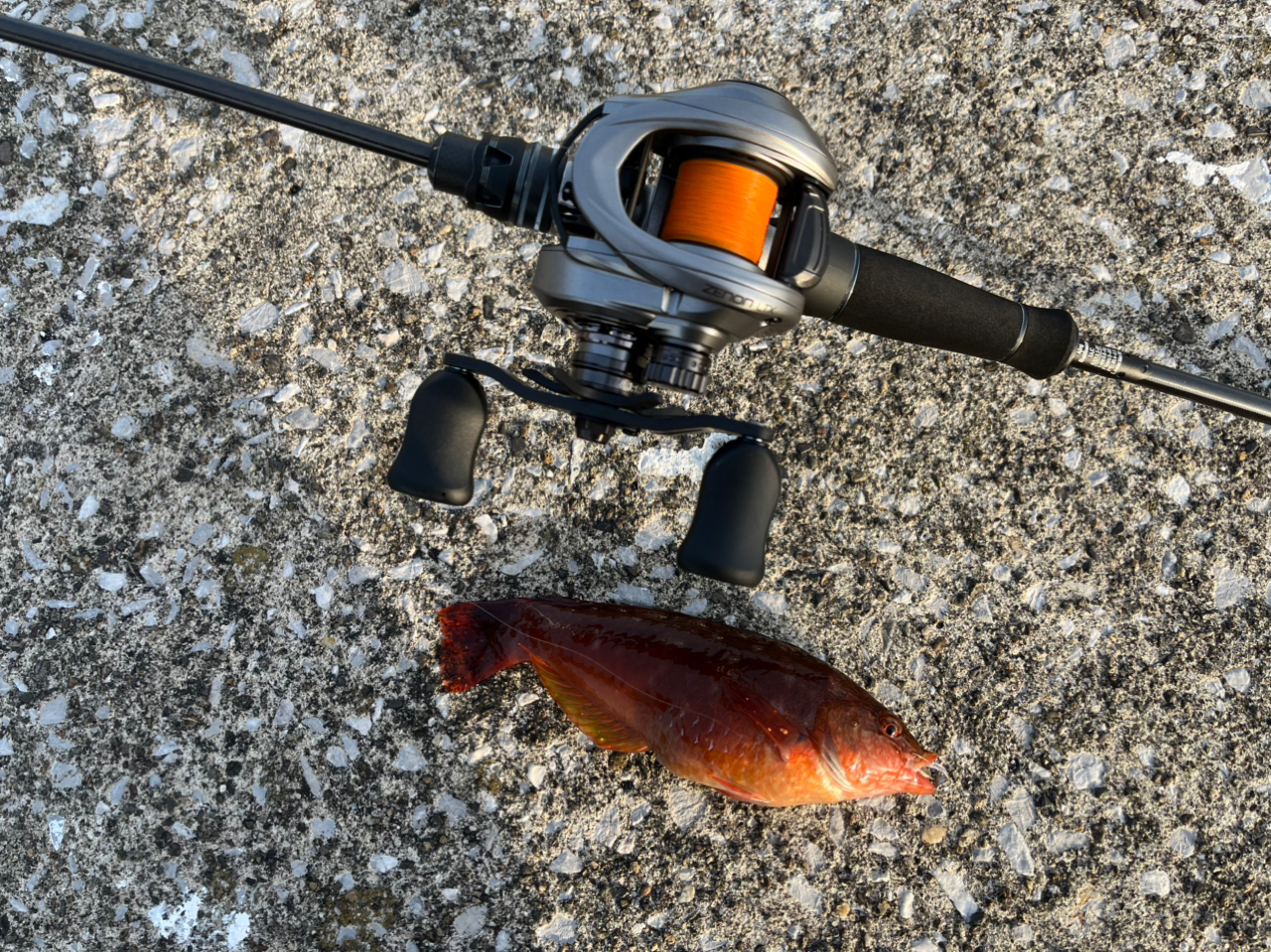 アブガルシア(Abu Garcia) ソルティステージプロトタイプ ベイト