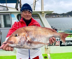 マダイの釣果