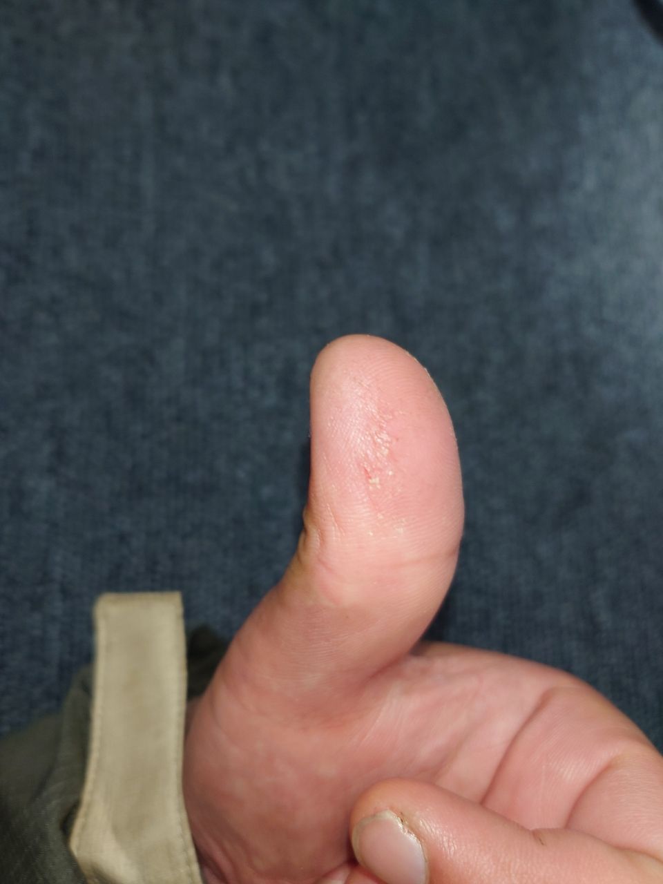 スモールマウスバス