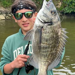 ミナミクロダイ