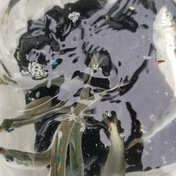サッパ