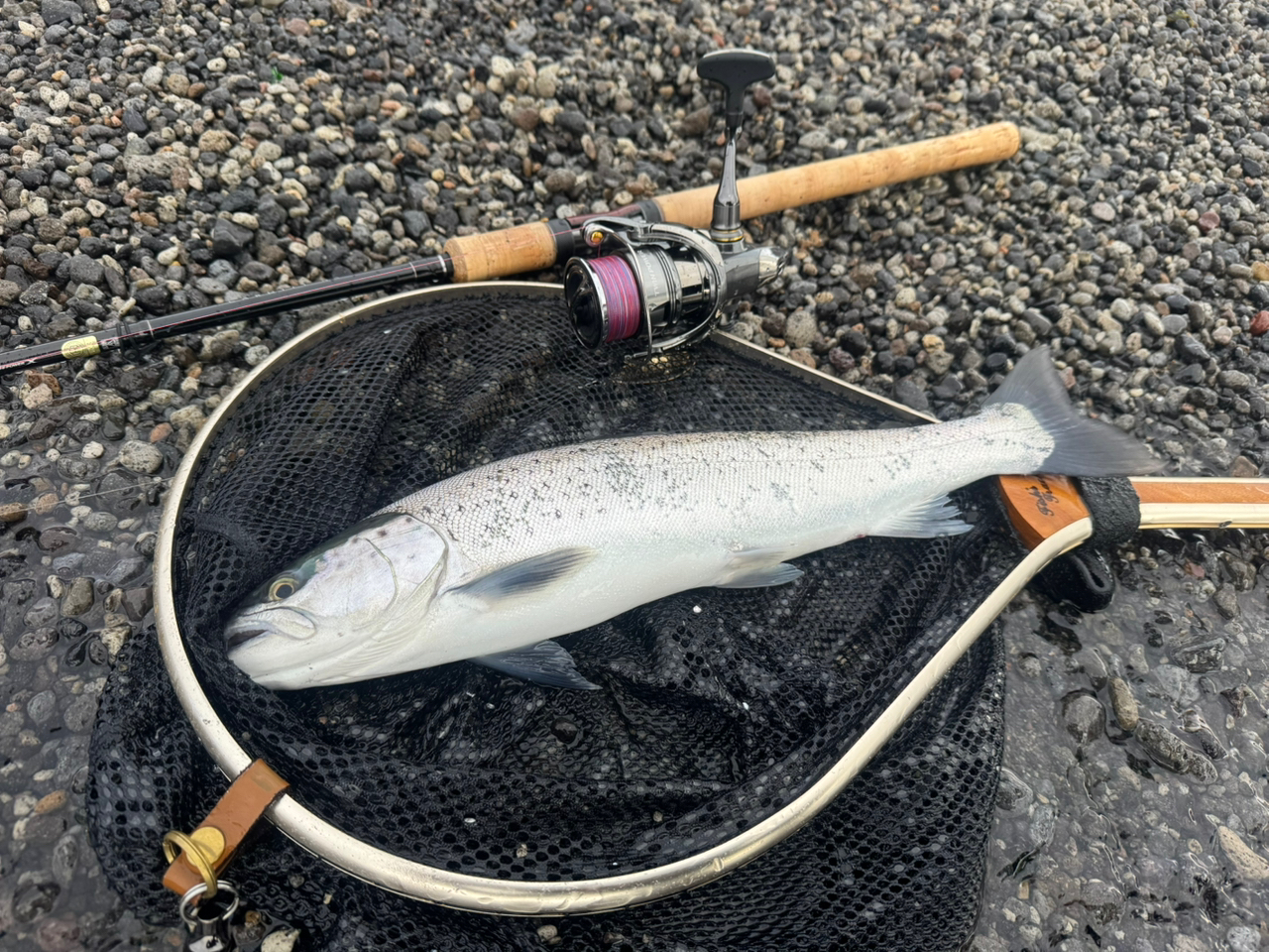 SHIMANO 21カーディフNX S86Mの最安値・インプレ・釣果 | 本音の