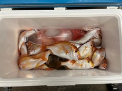 釣果