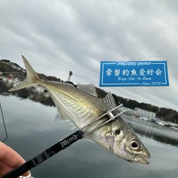 アジ