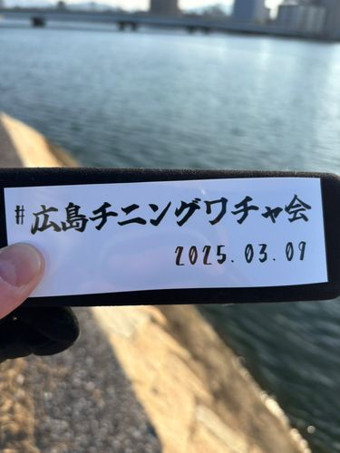 キビレの釣果