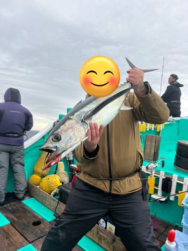 ビンチョウマグロの釣果