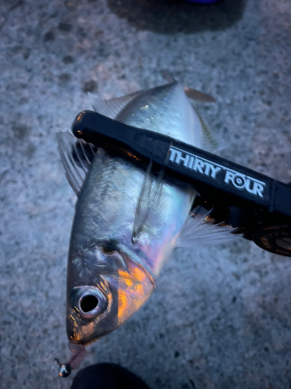 AbuGarcia ソルティーステージ プロトタイプ ベイトフィネス