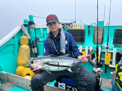 ビンチョウマグロの釣果