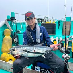 ビンチョウマグロ