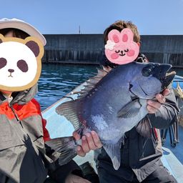 イシダイ