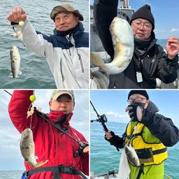 ショウサイフグ