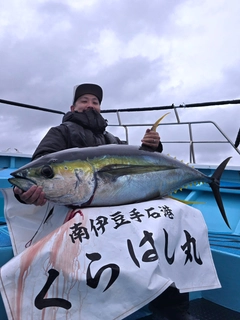 キハダマグロの釣果