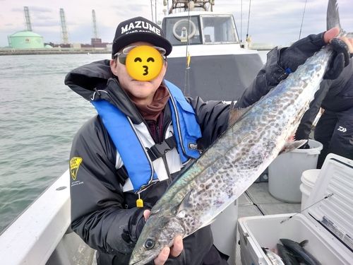 サワラの釣果