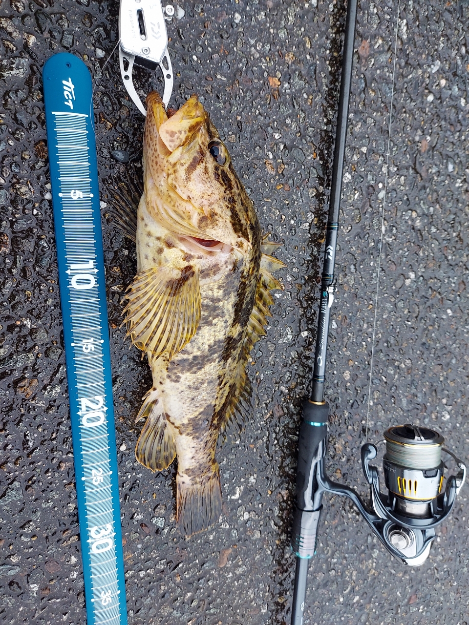 DAIWA 23エメラルダス ストイスト ST（アウトガイドモデル