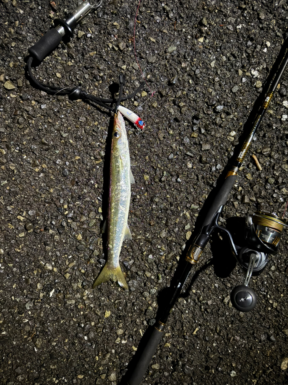 DAIWA 23エアリティ LT5000D-CXHの最安値・インプレ・釣果