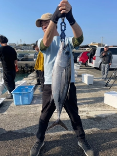 ビンチョウマグロの釣果