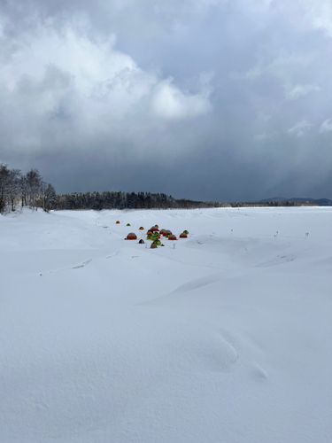 ワカサギの釣果