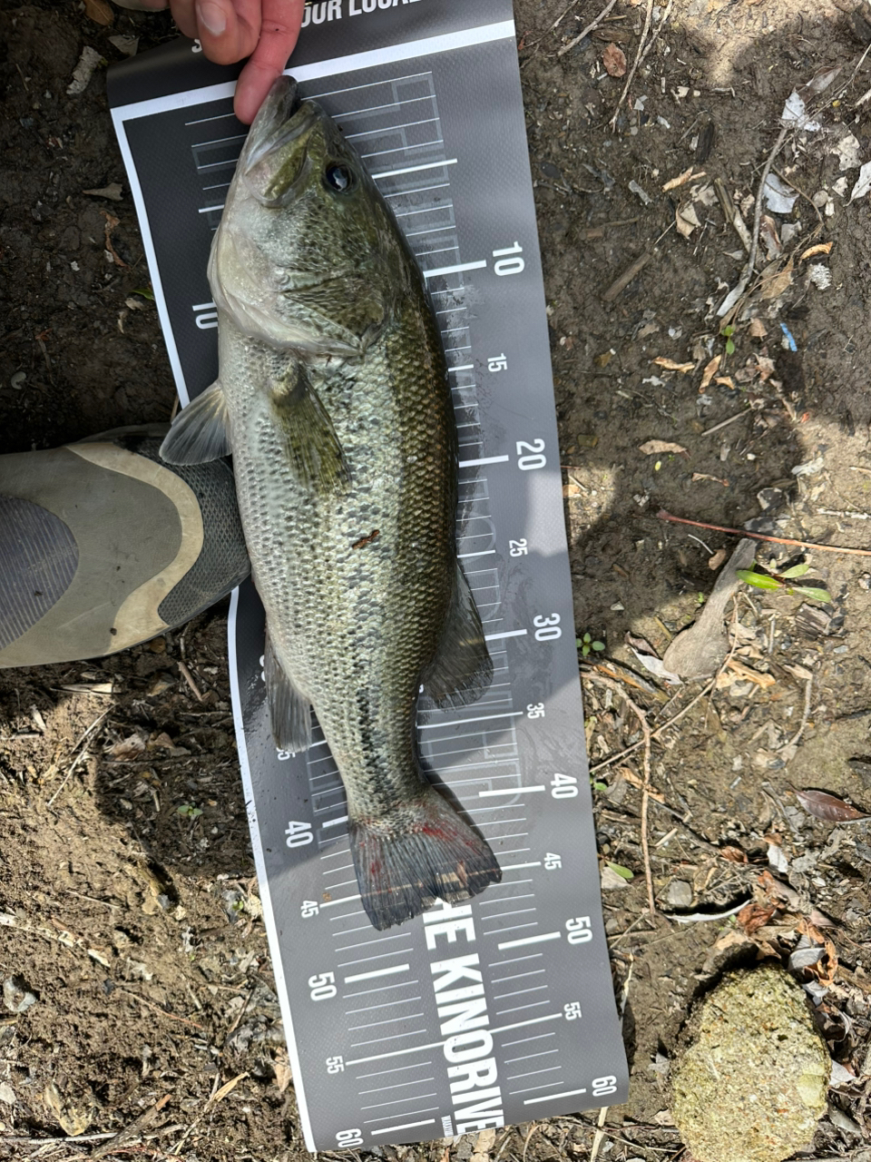 SHIMANO 23ワールドシャウラ リミテッド 1704R-2の最安値