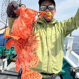 ビンチョウマグロ