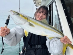 ハマチの釣果