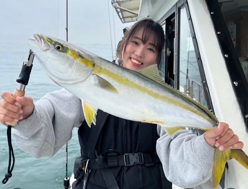 ハマチの釣果