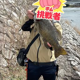 スモールマウスバス