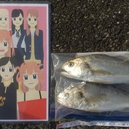 イシモチ