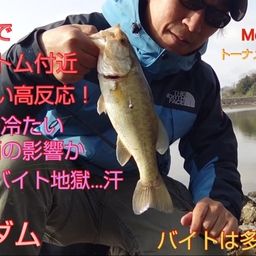 ブラックバス
