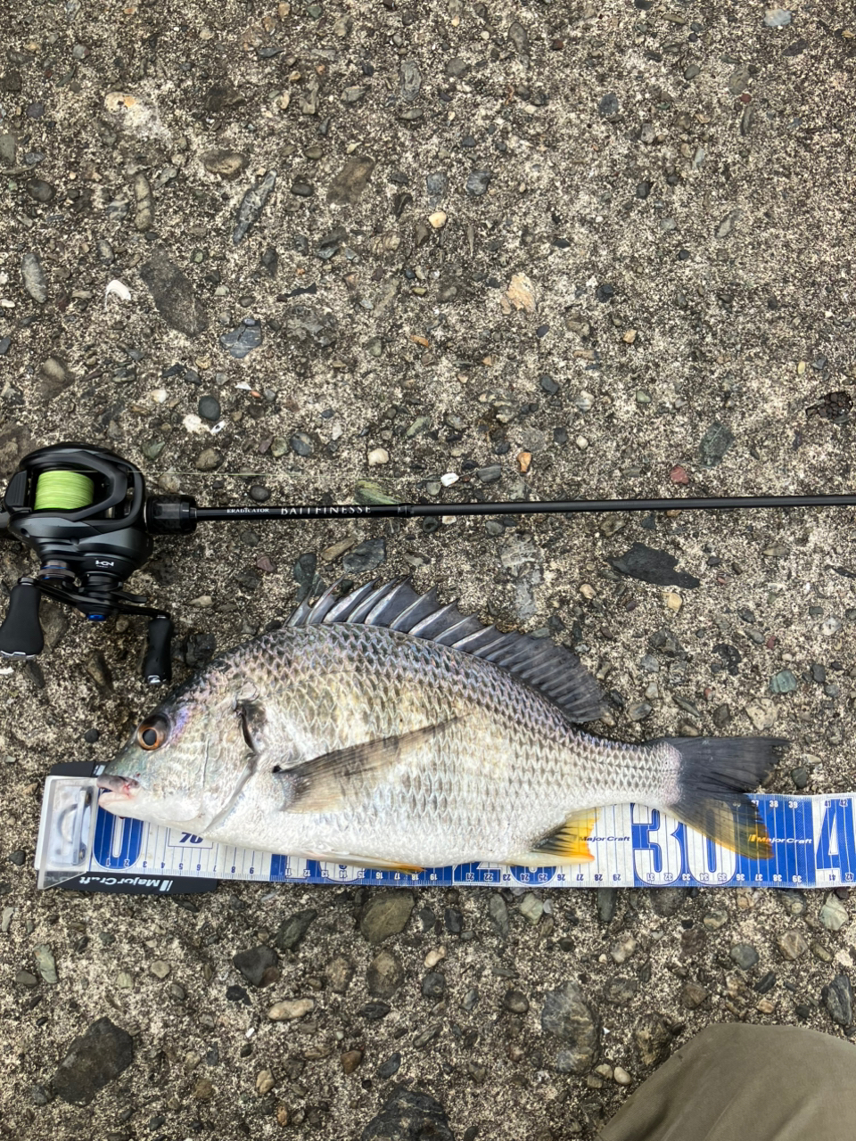 AbuGarcia エラディケーター ベイトフィネス EBTC-70LT-STの最
