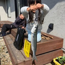 ボラ
