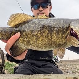 スモールマウスバス