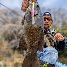 スモールマウスバス