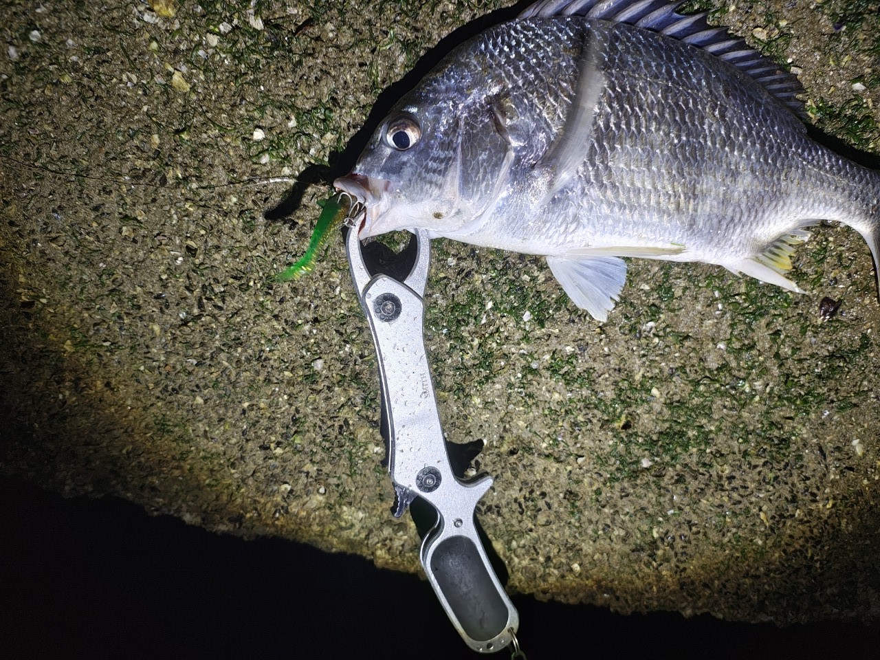 SHIMANO ネッサ CI4+ S100MH+の最安値・インプレ・釣果 | 本音の