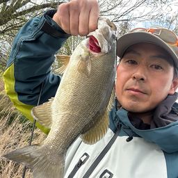 スモールマウスバス