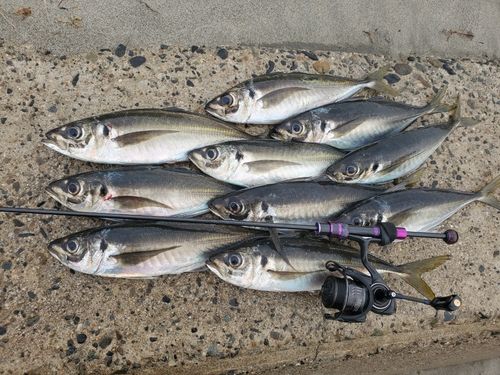 釣果