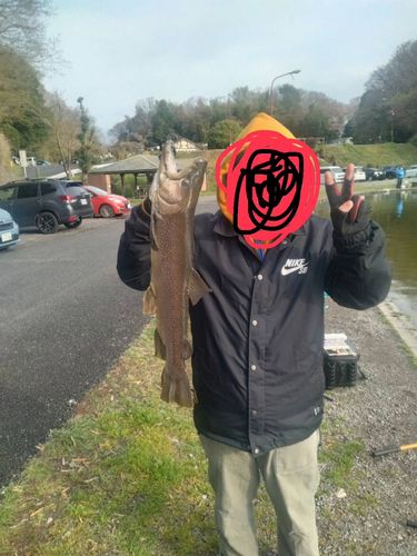 ブルックトラウト