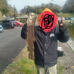 ブルックトラウト