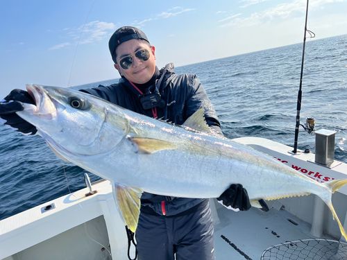 ヒラマサの釣果