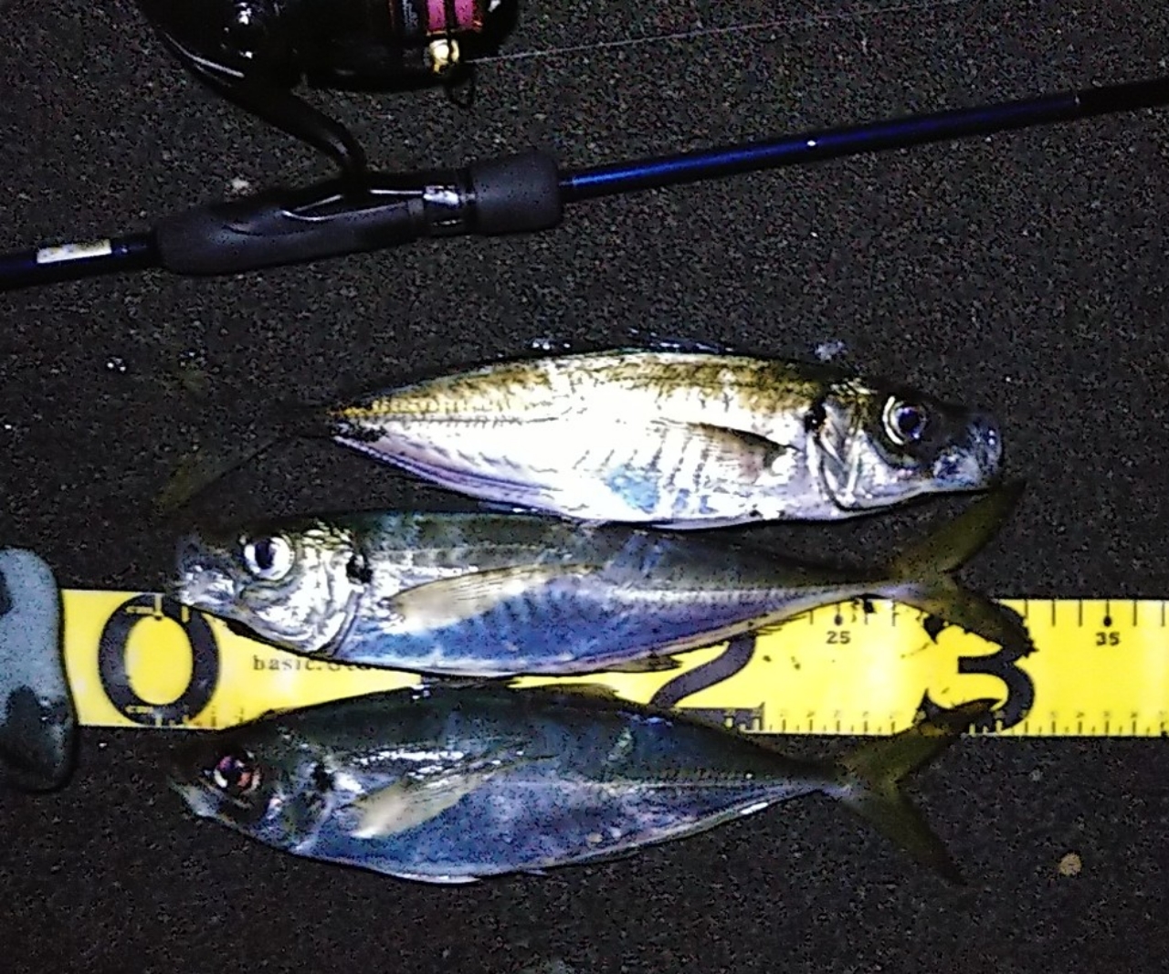 SHIMANO 22ソアレ XR C2500Sの最安値・インプレ・釣果 | 本音の