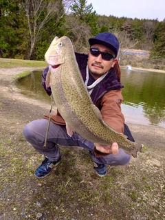 ロックトラウトの釣果