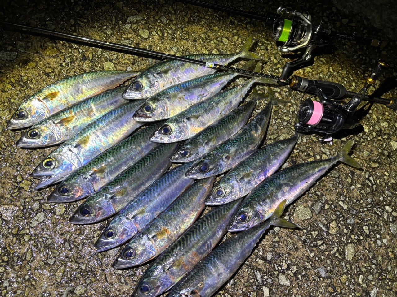 愛称入りサボ　からまつ　釣りサボ 夢空間 | 鉄道部品販売 - 商品詳細データ