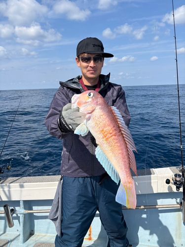 アカアマダイの釣果