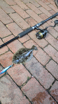 ソゲの釣果