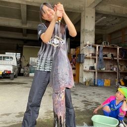 コブシメ