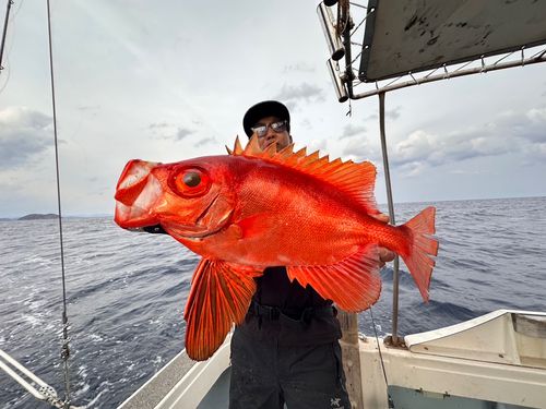 チカメキントキの釣果